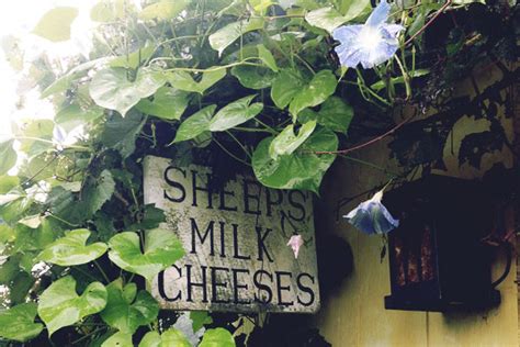 Vermont Cheese Trail - Our Natural Heritage