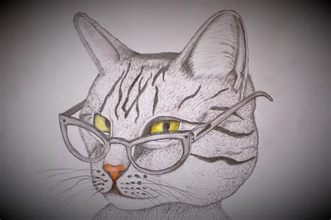 Cat wearing glasses : r/drawing