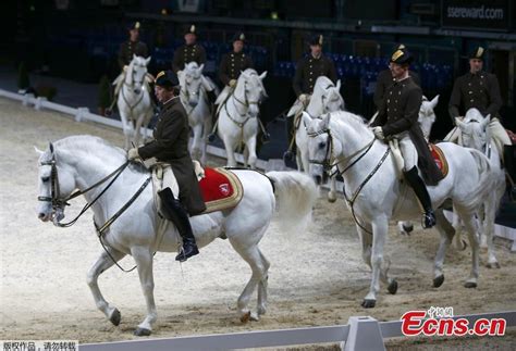 Spanish Riding School brings complex equestrian moves to London(3/7) - Headlines, features ...