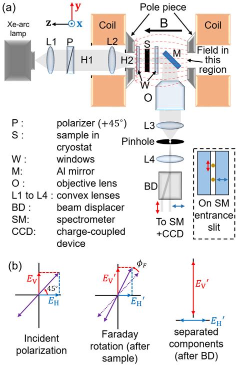 Schematic of the Faraday rotation spectroscopy setup. (a) Schematic... | Download Scientific Diagram