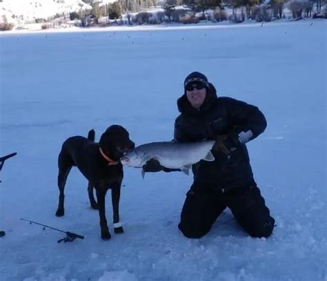 Ice Fishing for Lake Trout – Troutster.com – Fly Fishing Tips and Tactics