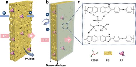 Schematic diagrams of a) a porous membrane and b) a porous PBI membrane... | Download Scientific ...