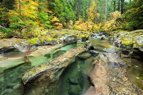 Stayle Creek of the Willamette River - Oregon Photography