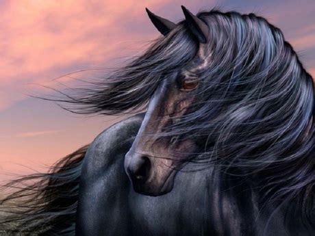 Second Life Marketplace - Black Horse Sunset Poster