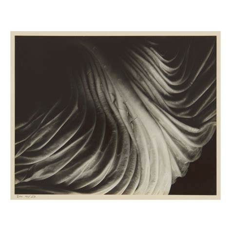 EDWARD WESTON | 'CABBAGE LEAF' | Photographs | 2020 | Sotheby's