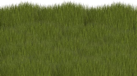 Grass Texture Seamless Png Artwork