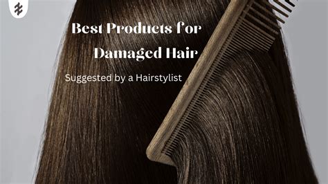 The Best Products for Damaged Hair | NJ Best Salon – The Warehouse Salon