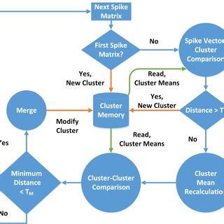 Flow diagram of the NEO based spike detection algorithm | Download ...