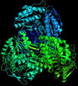 How Small Molecule Restores Aldehyde Dehydrogenase Function – Drug Discovery Opinion