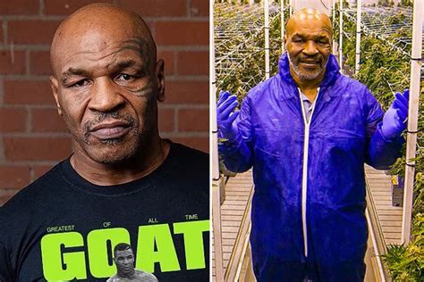 Mike Tyson opens his own coffee shop in Amsterdam and reveals he has 'tried and tested all the ...