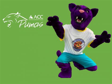 New Puma Mascot Adds to Character of ACC – The Arapahoe Pinnacle