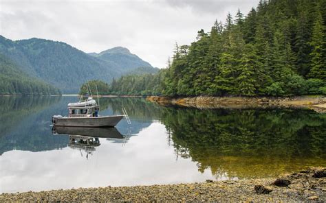 Sitka Wildlife Tours, Whale Watching, Bird Watching - Esther G Sea Taxi ...