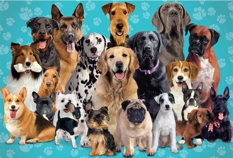 Dogs, a 1000-piece Puzzle by Paper House Productions - Walmart.com