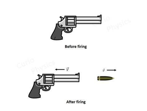 Recoil Of Gun | Recoil Of Gun Is An Example Of Law Of Conservation Of Linear Momentum » Curio ...