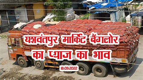 today onion price in yeshwanthpur market | rate of onion - YouTube