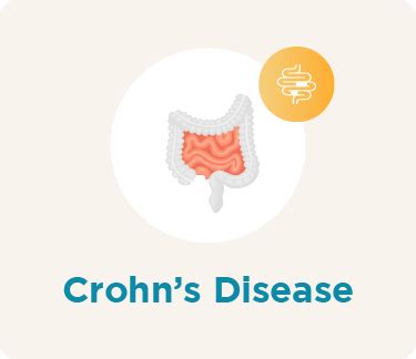 Small Bowel - Dr. Harsh J Shah