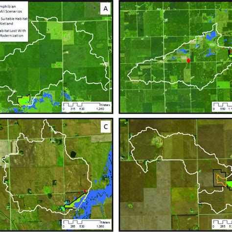 Suitable amphibian habitat in four example model catchments (white... | Download Scientific Diagram