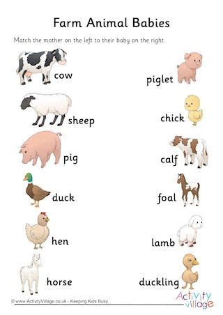 baby farm animal names and pictures - Yahoo Search Results Yahoo Image ...