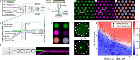 Droplet microfluidics for biomolecular condensate phase diagrams