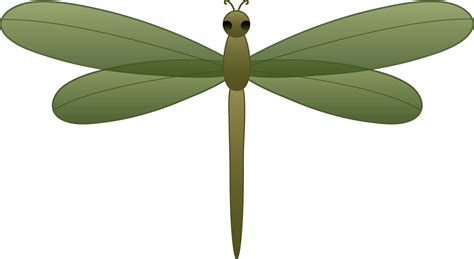 Green Dragonfly - Free Clip Art