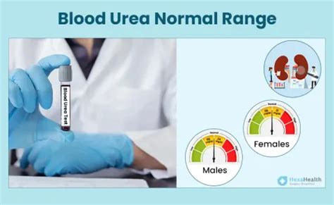 Blood Urea (BUN) Normal Range in mg/dl - Dangerous Level