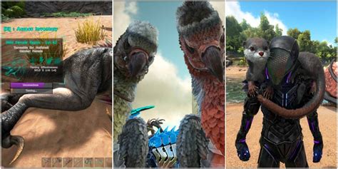 Top 16 Creatures To Tame First In Ark: Survival Evolved