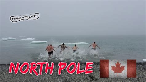 POLAR BEAR DIP IN THE NORTH POLE - YouTube