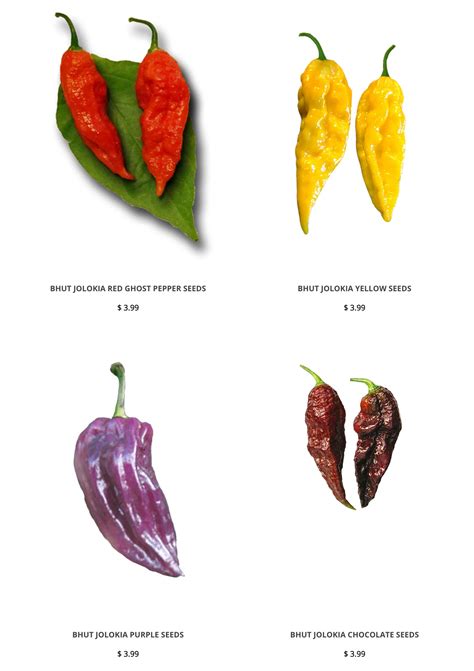 Best Ghost Pepper Seeds – Sandia Seed Company