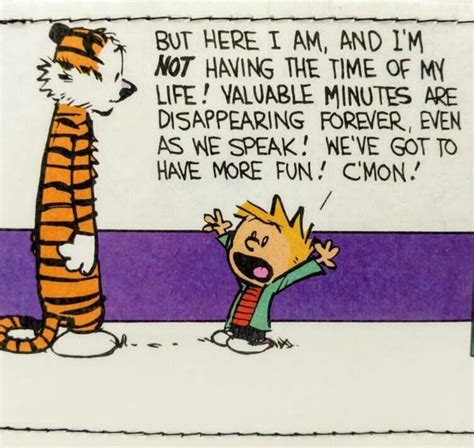 Calvin and Hobbes | Calvin and hobbes humor, Calvin and hobbes quotes, Calvin and hobbes