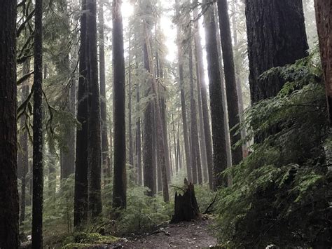 Olympic National Forest : r/SeattleWA