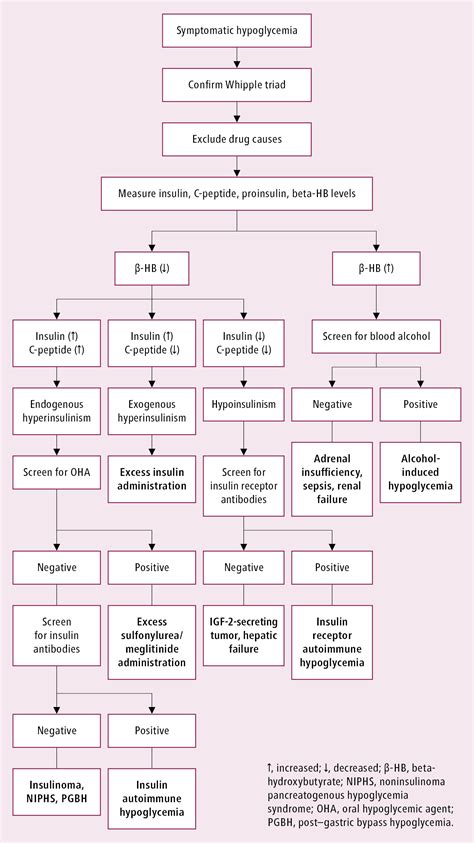 Hypoglycemia Causes