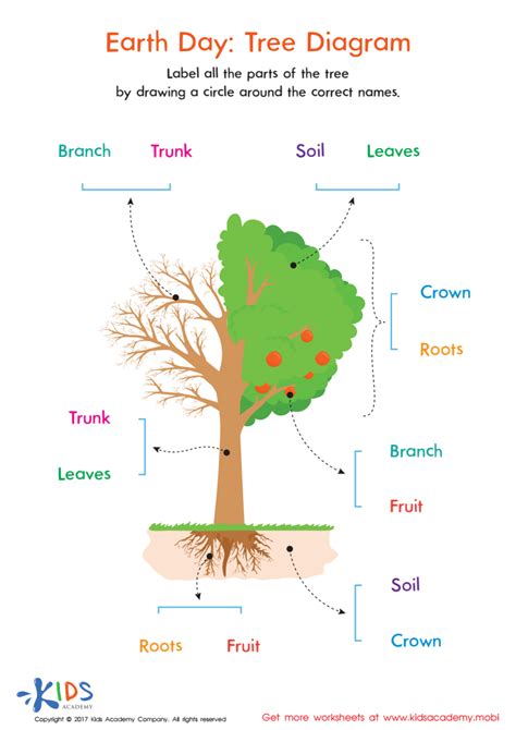 Tree Diagram Worksheets