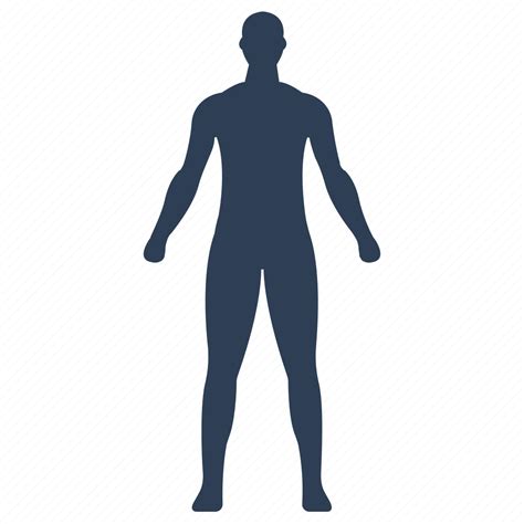 Anatomy, human body, man, patient, user icon - Download on Iconfinder