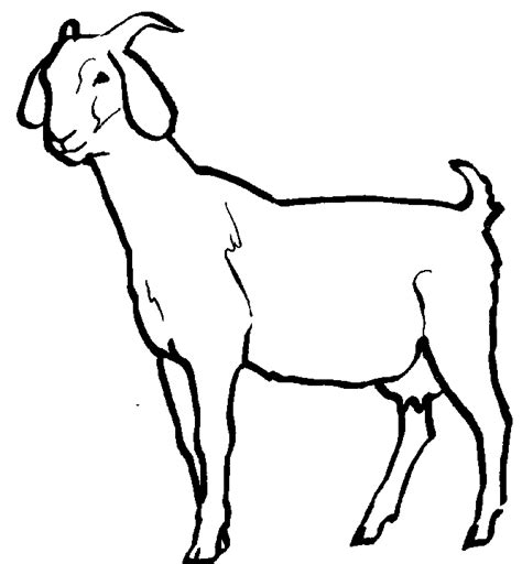 Clipart goat outline, Clipart goat outline Transparent FREE for download on WebStockReview 2024