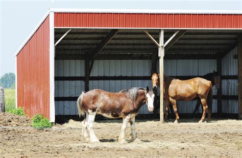 How to Build a Horse Shelter | Animals - mom.me