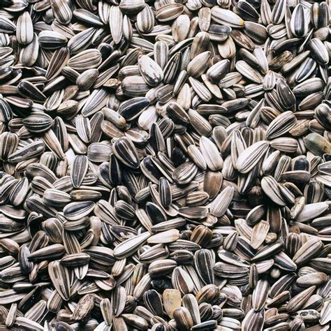 4 Amazing Health Benefits of Sunflower Seeds | EatingWell