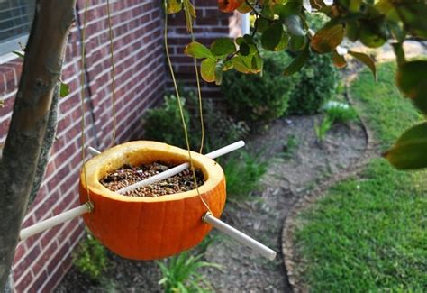 DIY Pumpkin Bird Feeder - Crate&Kids Blog