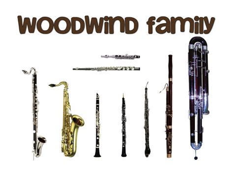 Woodwind Instruments Free Games online for kids in 1st grade by A ...