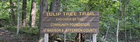 Tulip Tree Trail, Indiana - 10 Reviews, Map | AllTrails