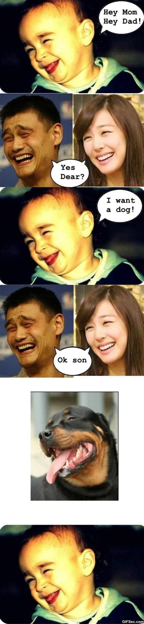 Meme - Funny – Yao Ming MEME - Viral Viral Videos