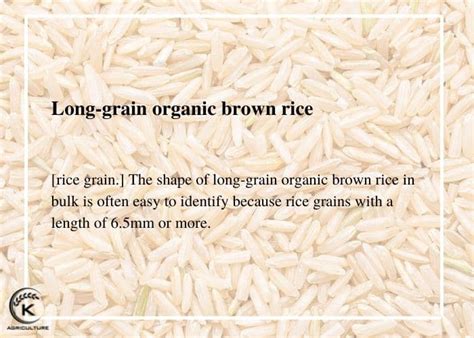 Organic Brown Rice In Bulk: Everything You Need To Know | K-Agriculture