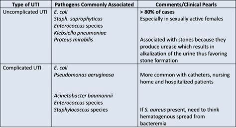 How to Treat Urinary Tract Infections — tl;dr pharmacy