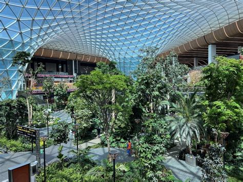 The Orchard, Doha Airport's Indoor Tropical Garden - One Mile at a Time