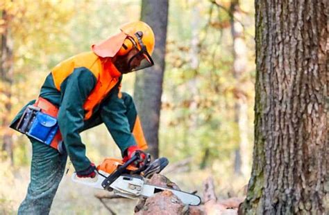 7 Chainsaw Safety Tips To Avoid Accidents - Tools Haven