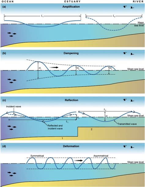 Conceptual mechanisms influencing the propagation of tidal waves in... | Download Scientific Diagram