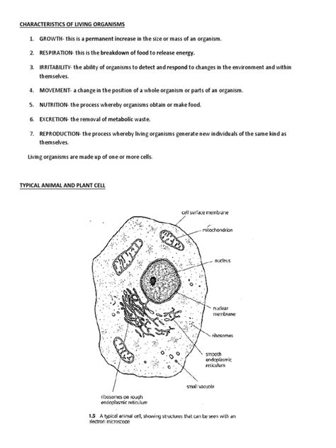 Biology Cells | PDF