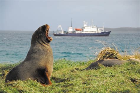 The Subantarctic Islands are a group of five outlying islands of New Zealand. These UNESCO World ...