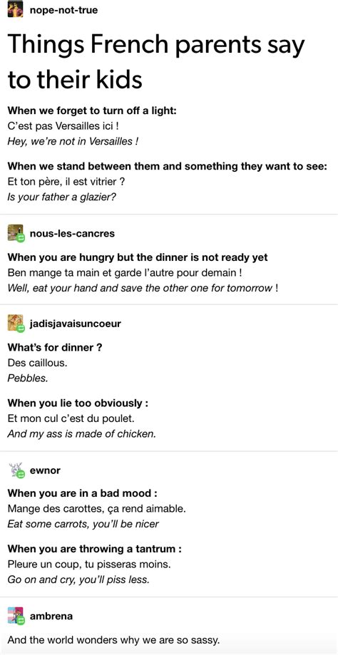 17 Jokes About The French Language That Prove It's As Weird As English Is | How to speak french ...