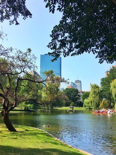 Boston Public Garden - Endlessly Inspired