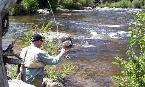 Taylor River Colorado Fly Fishing, Camping, Boating - AllTrips